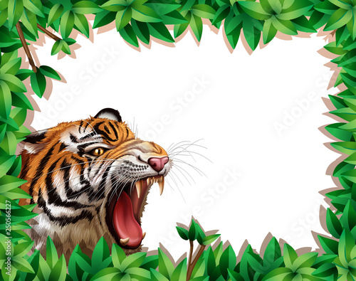 Tiger in leaf frame