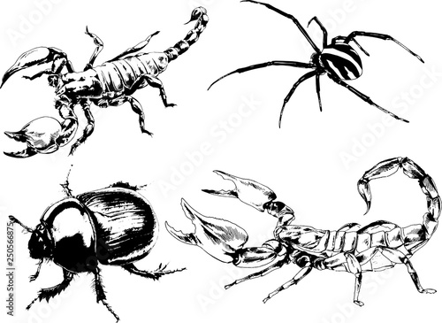 vector drawings sketches different insects bugs Scorpions spiders drawn in ink by hand , objects with no background