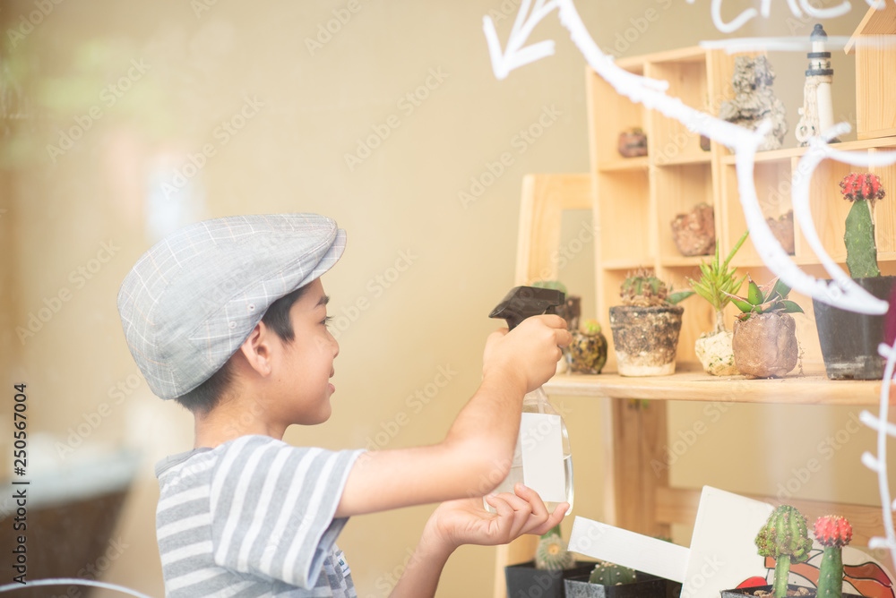Little boy watering cactus in the shop Little boy watering cactus in the shop