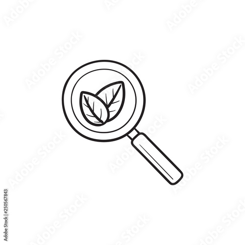 Organic search hand drawn outline doodle icon.