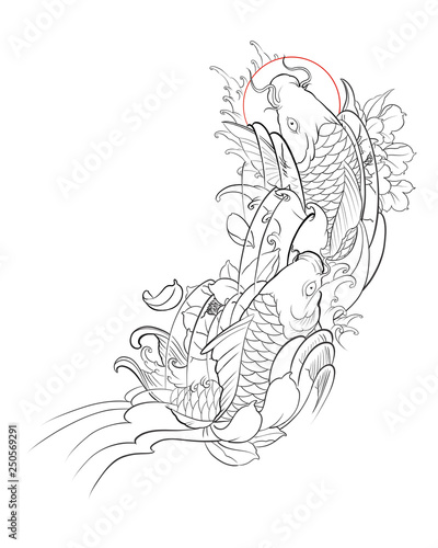 Hand drawn outline of Koi fish with lotus flower and water wave, Tattoo design outline of Japanese traditional style on a white background.