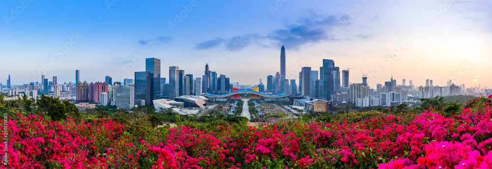 Fototapeta premium Shenzhen Futian District City Sceneria