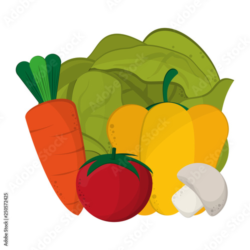 fresh vegetables cartoon