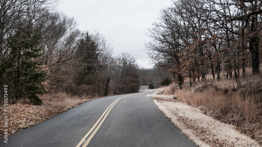 Curving road in a winter or autumn landscape