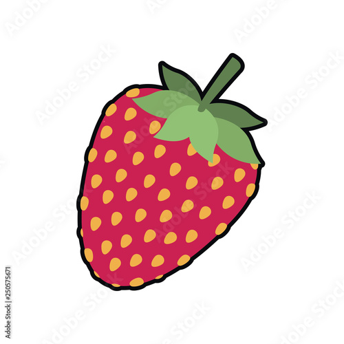 strawberry fruit isolated icon