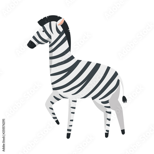 african zebra wild character