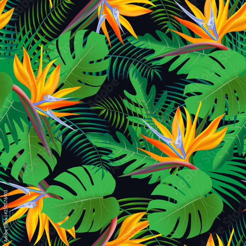 Seamless tropical pattern, vivid tropic foliage, with monstera leaf, palm leaves, paradise exotic flower, in bloom. Modern bright summer print design