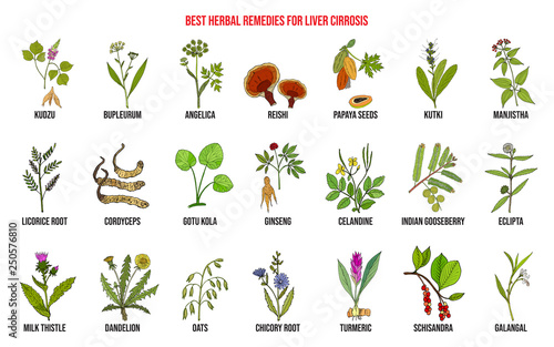 Best herbal remedies for liver cirrosis