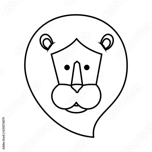 african lion wild animal