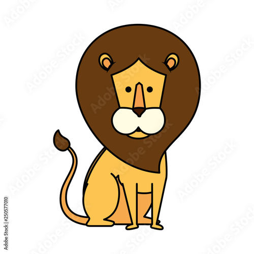 african lion wild animal