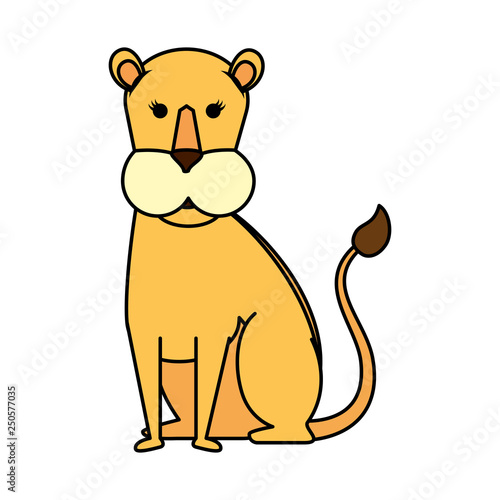 african lioness wild animal
