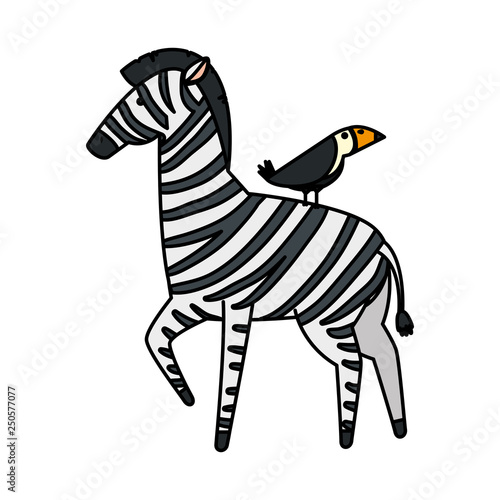 african zebra with toucan wild characters
