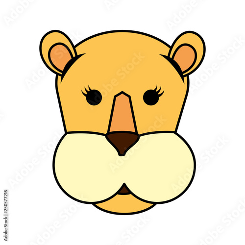 african lioness wild animal