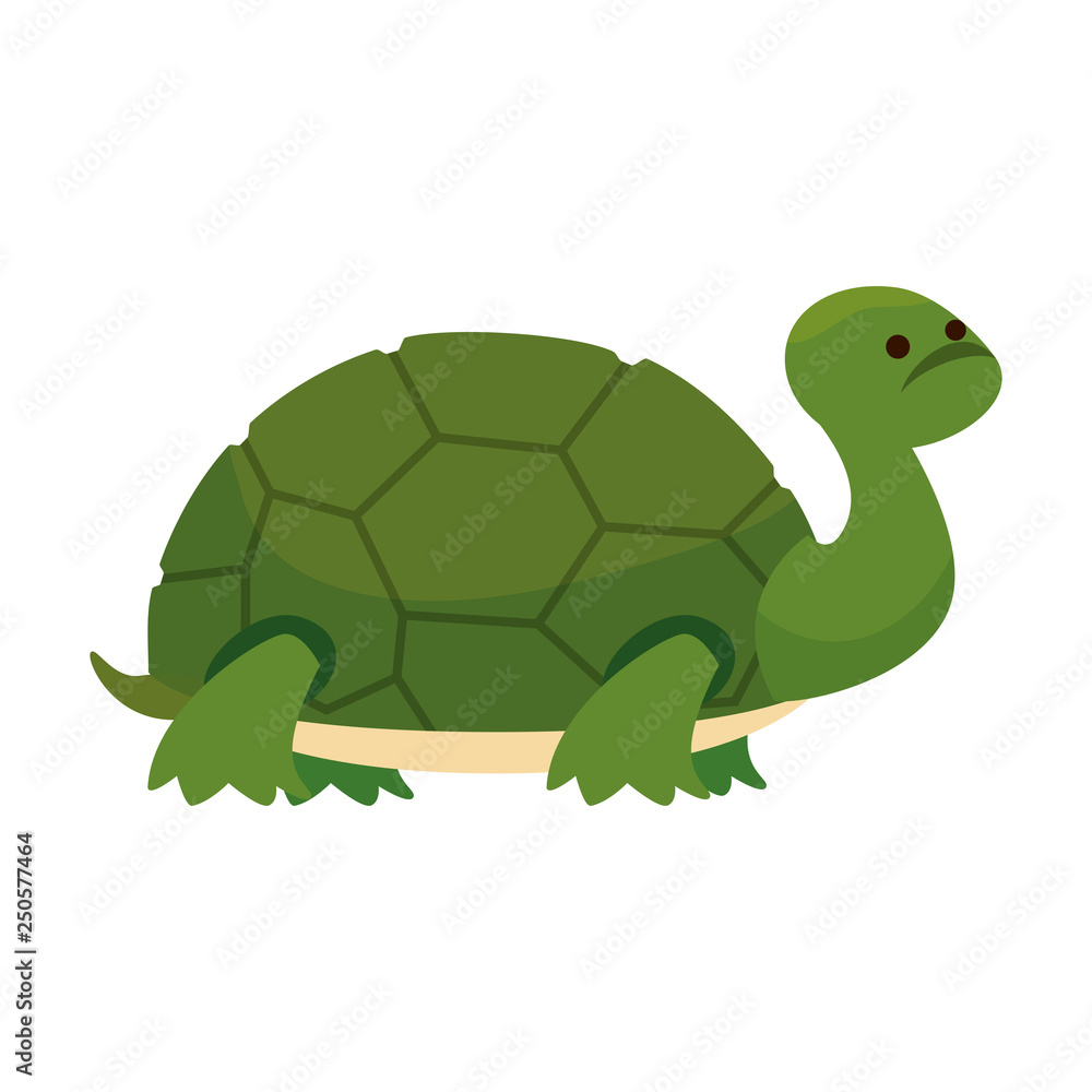 Naklejka premium cute turtle wild character