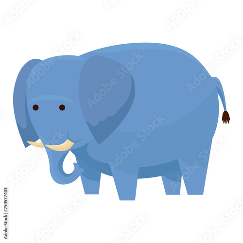 african elephant wild character