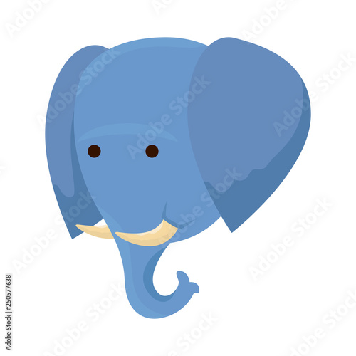 african elephant wild character