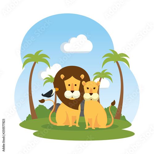 african lions couple with toucan bird in the