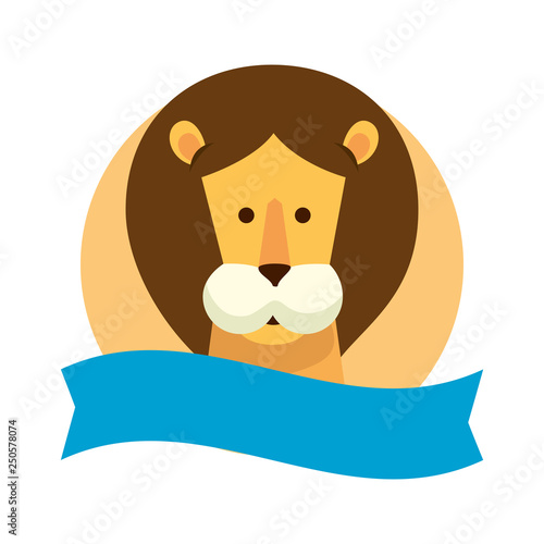 african lion wild animal