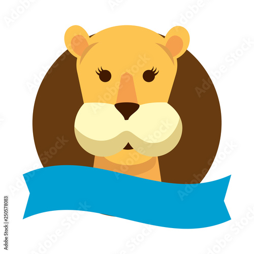 african lioness wild animal