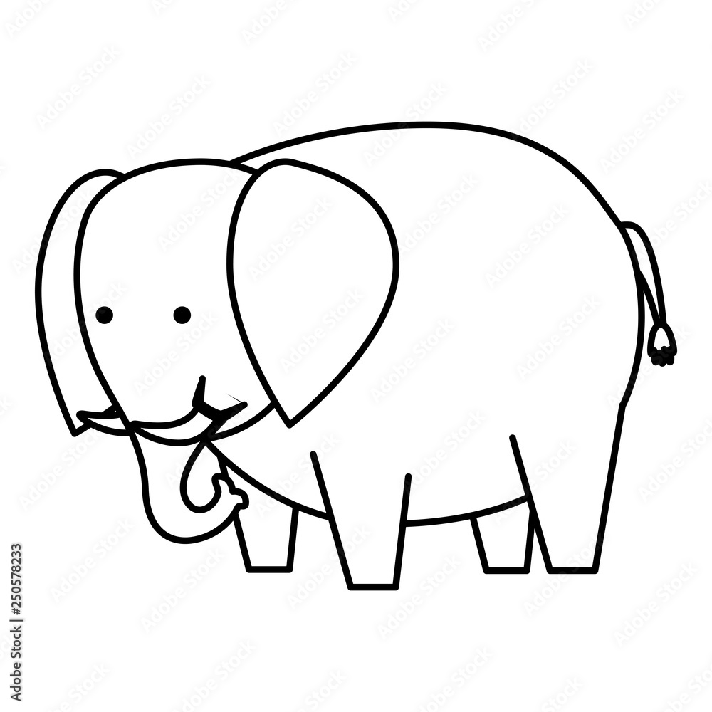 Fototapeta premium african elephant wild character