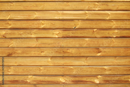 Wooden log wall texture	