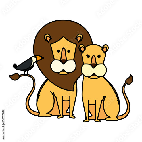 african lions couple with toucan bird