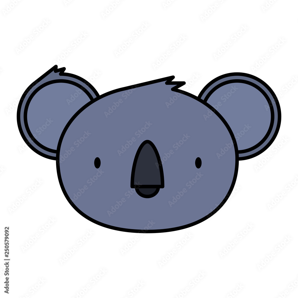 little koala wild character
