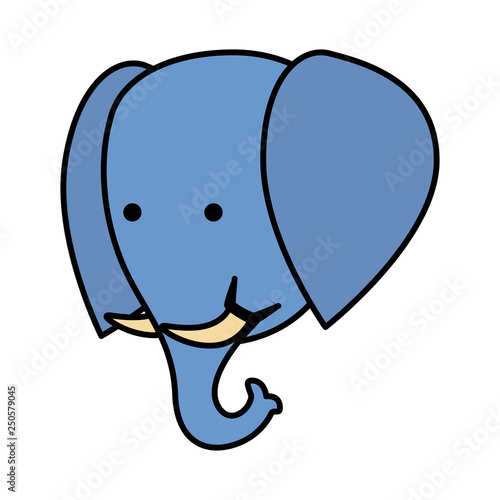 african elephant wild character