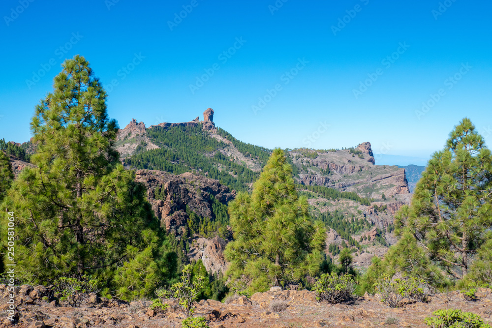 Landschaft auf Gran Canaria im Sommer