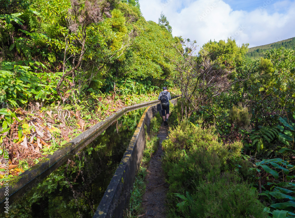 Fototapeta premium Men hiker walking on footpath along Lavada - water irrigation canals covered by moss and lush vegetation on hiking trail Praia Lagoa de Fogo, Sao Miguel island, Azores, Portugal