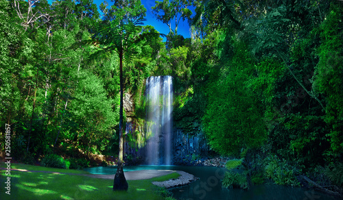 Amazing and beautiful natural waterfall..Millaa Millaa Falls, The Waterfall Circuit , Atherton tableland. Queensland, Australia photo