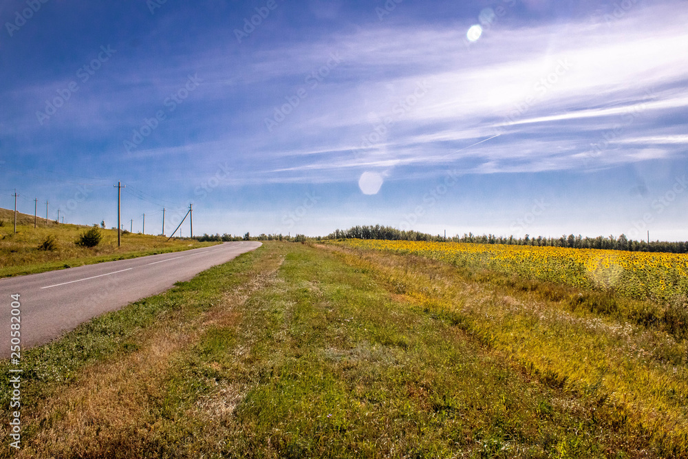 Obraz premium Russian field