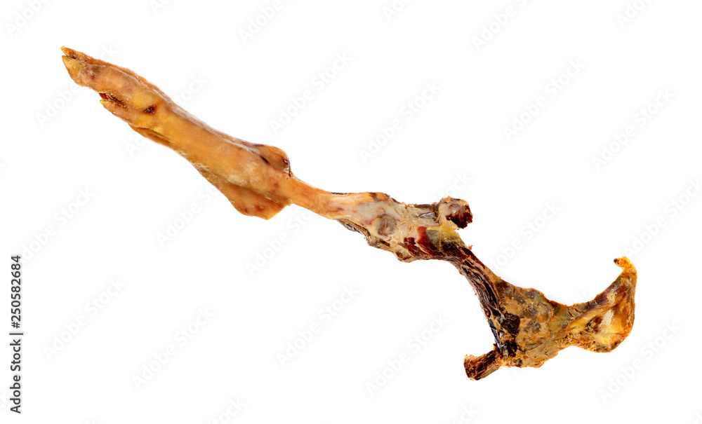 Fototapeta premium Bone of a Iberian Ham Leg , after it has been eated