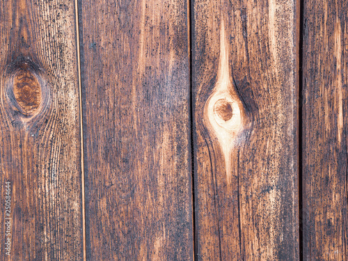 Wallpaper Mural old wood board with some mold spots Torontodigital.ca