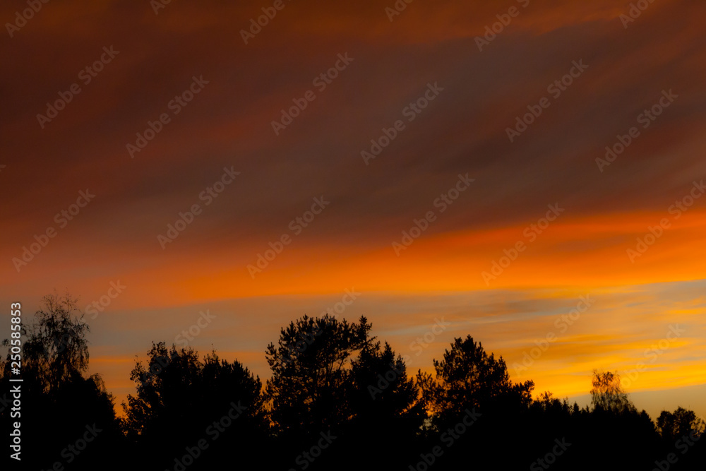 Colourful autumn sky and forest silhouette at sunset.