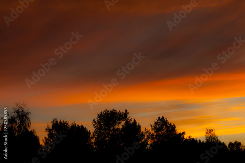 Colourful autumn sky and forest silhouette at sunset.