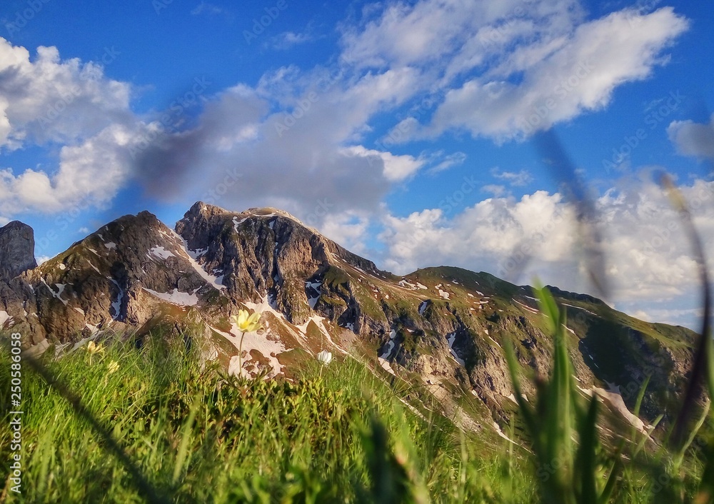 Obraz premium Passo Giau in the Dolomites