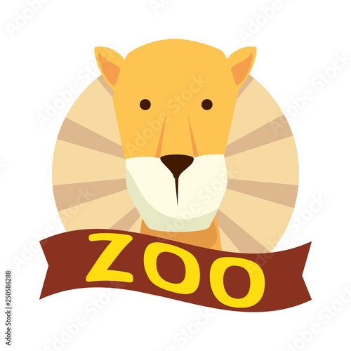 african lioness wild animal