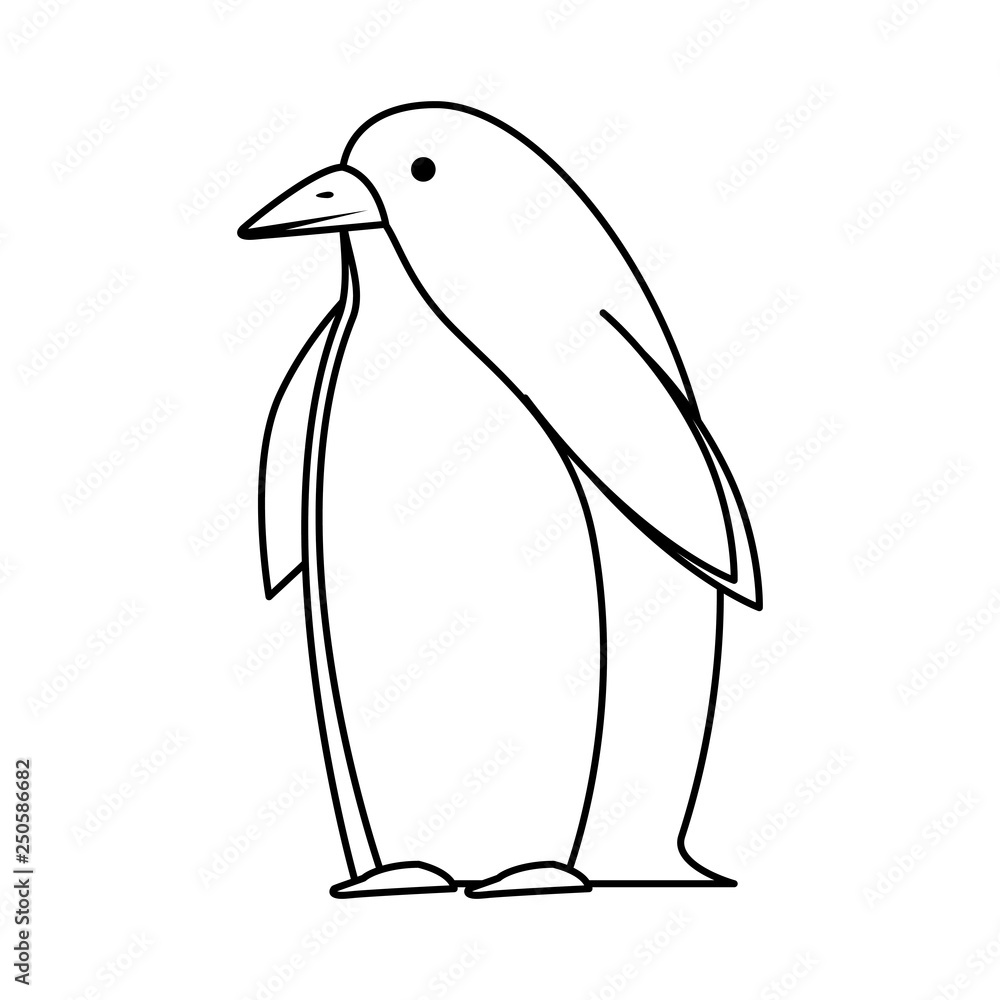 Obraz premium cute penguin bird character