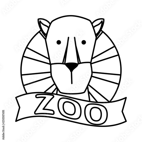 african lioness wild animal