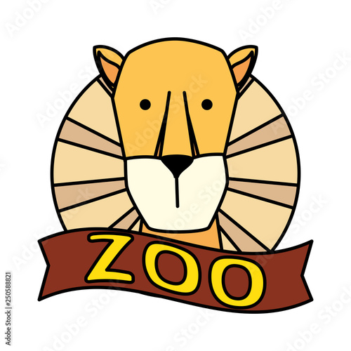 african lioness wild animal