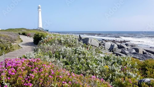 lighthouse on the coast with flowers