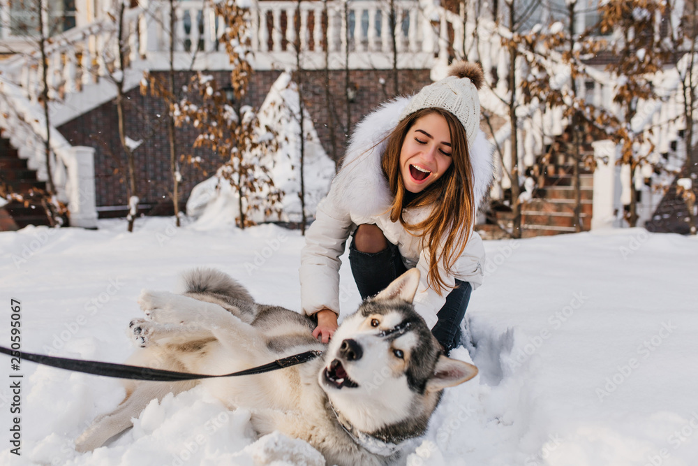 Chilling girl with long shiny hair having fun with husky in frosty december day. Outdoor photo of smiling young lady relaxing with her dog during winter holidays. Chilling girl with long shiny hair having fun with husky in frosty december day. Outdoor photo of smiling young lady relaxing with her dog during winter holidays.