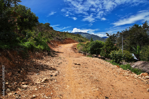 Papua New Guinea Wamena photo