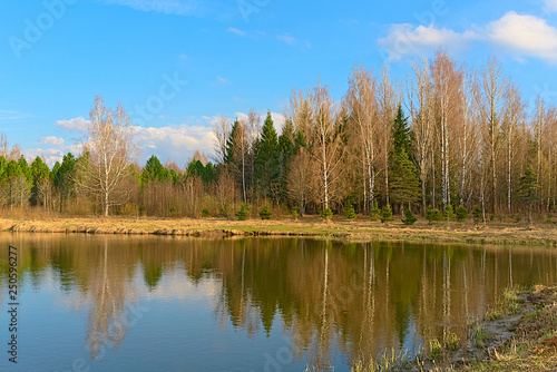Forest on the lake in early spring. Kostroma, Russia.
