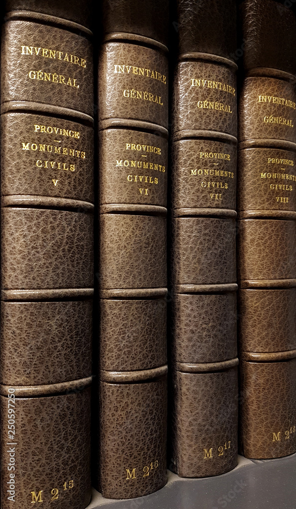 Inventaire générale des monuments de France, tomes anciens avec reliure en cuir Inventaire générale des monuments de France, tomes anciens avec reliure en cuir