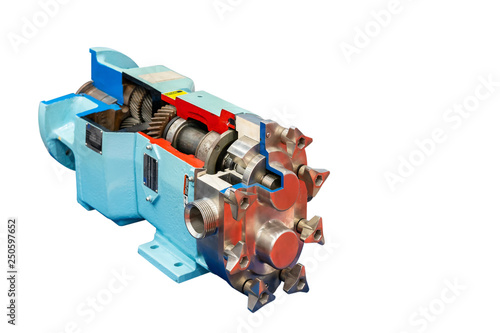 Fototapeta Naklejka Na Ścianę i Meble -  Close up cross section of High technology and quality rotary or lobe gear vacuum pump with gear box for industrial isolated on white background with clipping path