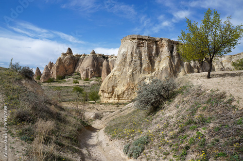 Fantastic fairy chimney rock formations at a valley near Chavushin. Beautiful sunny spring day in Cappadocia, Turkey