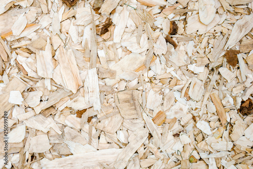 Textured background of scattered white wood chips of different shapes