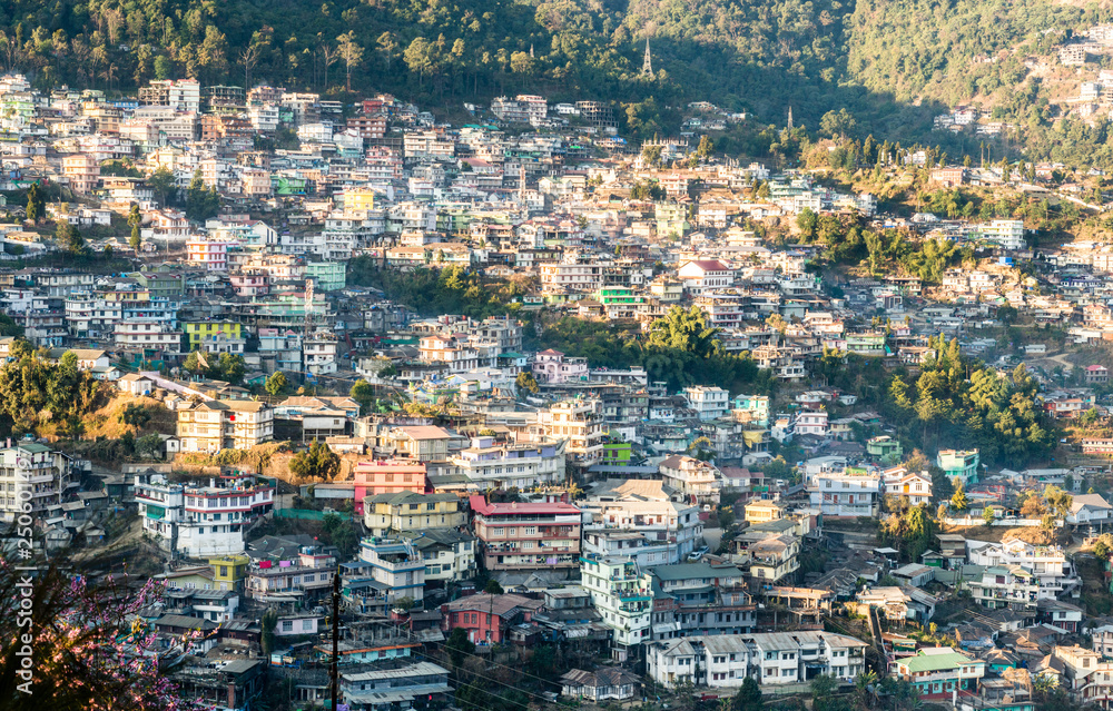 Cityscape with homes crowded along the hillside
